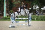Hongre 7ans - SF 