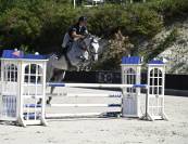 Hongre 7ans - SF 