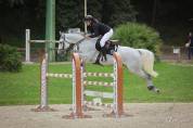 Hongre 7ans - SF 