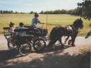 Cal&egrave;che de loisir 4 roues pour 6 personnes