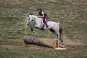 Jument pour loisirs sportif 