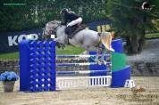 &Agrave; vendre cheval 7 ans cycles classiques 