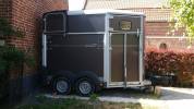 Van Ifor Williams HB506 2 chevaux