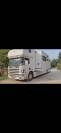 Horsebox NON-HGV Scania  2005 Used