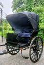 Coche enganches - Calesa  Buggy de docteur 