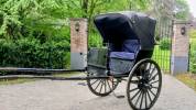 Coche enganches - Calesa  Buggy de docteur 