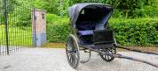 Coche enganches - Calesa  Buggy de docteur 