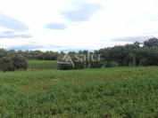 Montpellier EST : Domaine &eacute;questre 16ha  Opportunit&eacute; - empl