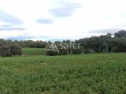 Propiedad rural En venta H&eacute;rault