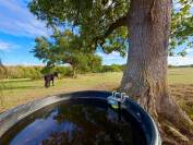 Equestrian property  Creuse