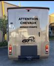 Transport chevaux - Gt transport equin - France et Europe