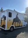 Camion VL paragan 