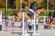 Venta o alquiler poni C