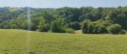 Equestrian property  Landes