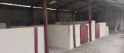 Equestrian property  Landes