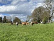 Pension &eacute;curie active dans l'Ain