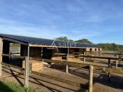 Equestrian property  Calvados
