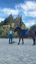  &Agrave; VENDRE &ndash; BONECA, PONETTE DE 4 ANS &ndash; 2 500 &euro;