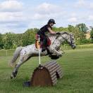 Poney D &agrave; vendre 