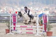 Poney D &agrave; vendre 