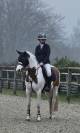 Poney de CSO 9 ans