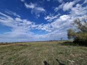Domaine de 4,7 hectares &agrave; Notre-Dame-de-Monts
