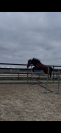 Ponette 3 ans pour sport 