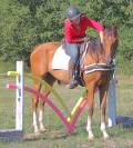 La m&eacute;thode &eacute;quine Imp&eacute;riale vous pr&eacute;sente les chevaux..