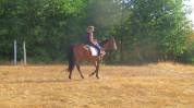 La m&eacute;thode &eacute;quine Imp&eacute;riale vous pr&eacute;sente les chevaux..
