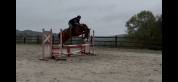 Superbe jument prometteuse en cso et cce  