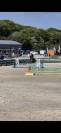 Ponette de 7ans