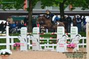 Cavalla Sella francese 2014