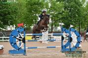 Cavalla Sella francese 2014