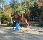 N&eacute;o, 3,5 ans 