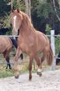 N&eacute;o, 3,5 ans 