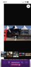 Cheval amateur &eacute;lite 
