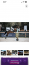 Cheval amateur &eacute;lite 
