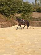 M&acirc;le CSAN/SFO 3 ans 