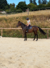 M&acirc;le CSAN/SFO 3 ans 