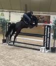 Tr&egrave;s brave jument de 7 ans pour amateur