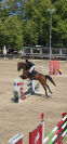 Cheval CSO 130
