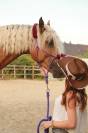 Cruzado 5 ans 