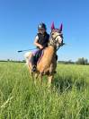 Pony Welsh in Vendita