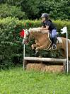 Pony Welsh in Vendita