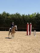Pony Welsh in Vendita