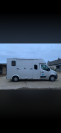 Renault Master VL 2 chevaux &ndash; 2019 &ndash;Rucel- 165 ch Bi-Tu