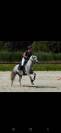 Ponette pfs 13 ans poulini&egrave;re 