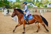Poney 5 ans 1m46