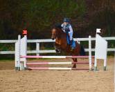 Poney 5 ans 1m46