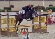 5 ans Hongre par Aganix du seigneur  